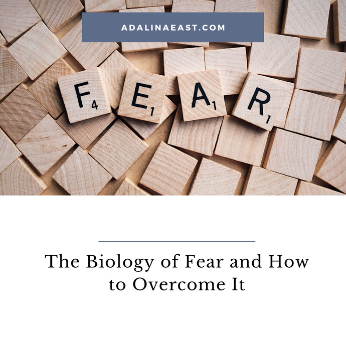What is the Fear Cycle and How Do We Stop It?